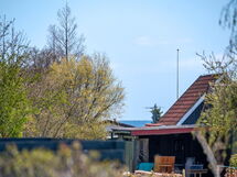 cordeline - 325m From The Sea