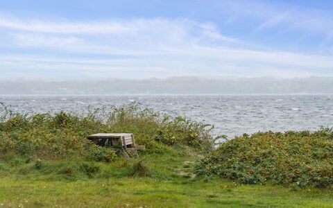 Elisej - 100M from the Sea: Herbe, Vert, Environnement Naturel, Horizon, Prairie, Végétation, Écorégion, Mer, Communauté Des Plantes, Nuage