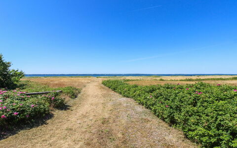 Elisej - 100M from the Sea: 