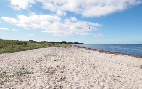 Elisej - 100M from the Sea: 