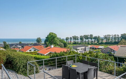 Ebbeline - 150M from the Sea: Communauté Des Plantes, Lumière Du Soleil, Plante Herbacée, Jardin, Plantation, Agriculture, Ferme