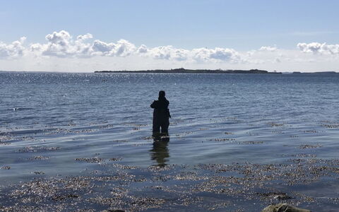 Lander - 20M from the Sea: Maison, Toit, Domicile, Chalet, Biens, Ferme, Villa, Porche, Siding