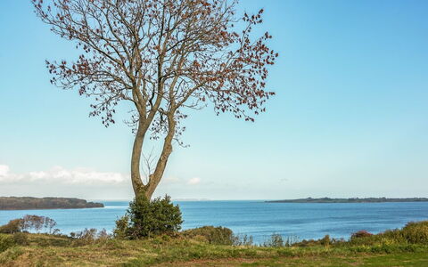 Boris - 500M from the Sea: Maison, Toit, Domicile, Chalet, Biens, Ferme, Villa, Porche, Siding