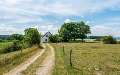 Jeppe - 50M to the Fjord: Vert, Herbe, La Nature, Paysage Naturel, Végétation, Prairie, Paysage, Zone Rurale, Lot Terre
