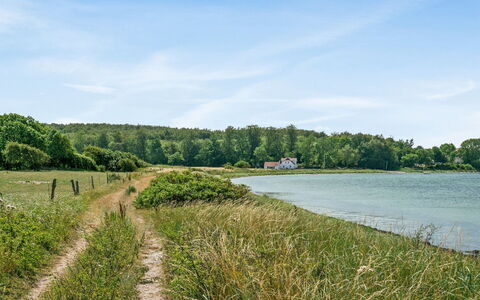 Jeppe - 50M to the Fjord: L'Eau, Ressources En Eau, Vert, Plan D'Eau, Environnement Naturel, Paysage Naturel, Végétation, Cours D'Eau, Voie Navigable