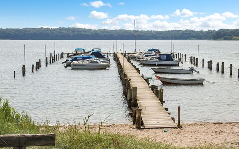 Star - 100M from the Sea: Biens, Ferme