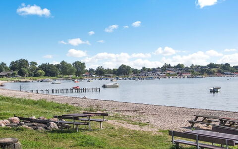 Star - 100M from the Sea: Biens, Ferme