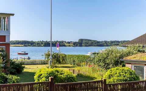 Star - 100M from the Sea: Biens, Ferme