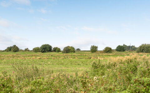 Ewelina - 15Km from the Sea: Ciel, Vert, Environnement Naturel, Prairie, Végétation, Paysage Naturel, Nuage, Écorégion, Plaine, Été