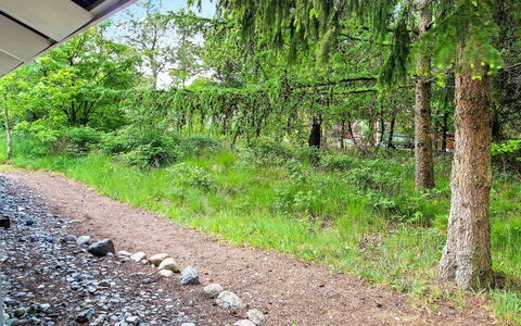Frederikke - 28Km from the Sea: Vert, Arbuste, Communauté Des Plantes, Couverture De Sol, Piste, Sol, Jardin, Des Bois, Jungle, À Feuilles Persistantes