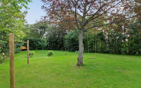 Lilli - 2Km to the Fjord: Communauté Des Plantes, Lumière Du Soleil, Plante Herbacée, Jardin, Plantation, Agriculture, Ferme