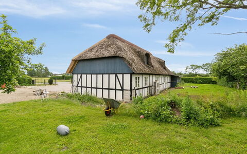 Thessa - 900M from the Sea: Communauté Des Plantes, Lumière Du Soleil, Plante Herbacée, Jardin, Plantation, Agriculture, Ferme