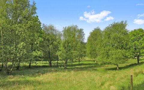 Terese - 45Km from the Sea: Communauté Des Plantes, Lumière Du Soleil, Plante Herbacée, Jardin, Plantation, Agriculture, Ferme