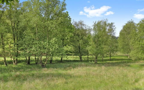 Terese - 45Km from the Sea: Communauté Des Plantes, Lumière Du Soleil, Plante Herbacée, Jardin, Plantation, Agriculture, Ferme