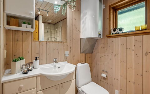 Engeline - 300M to the Fjord: Lavabo, Luminaire Plomberie, Bois, Évier, Design Intérieur, Sol, Sol, Armoire De Toilette, Salle De Bains, Robinet