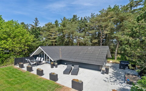 Hjalmara - 900M from the Sea: Communauté Des Plantes, Lumière Du Soleil, Plante Herbacée, Jardin, Plantation, Agriculture, Ferme