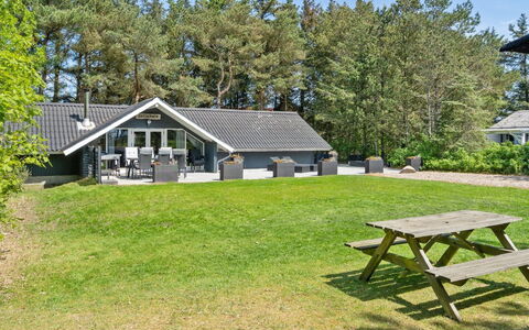 Hjalmara - 900M from the Sea: Communauté Des Plantes, Lumière Du Soleil, Plante Herbacée, Jardin, Plantation, Agriculture, Ferme