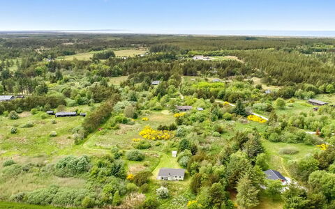 Aameek - 3Km from the Sea: Communauté Des Plantes, Lumière Du Soleil, Plante Herbacée, Jardin, Plantation, Agriculture, Ferme