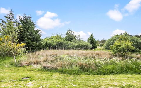 Aameek - 3Km from the Sea: Communauté Des Plantes, Lumière Du Soleil, Plante Herbacée, Jardin, Plantation, Agriculture, Ferme
