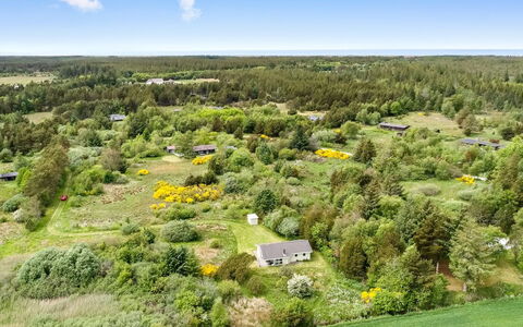 Aameek - 3Km from the Sea: Communauté Des Plantes, Lumière Du Soleil, Plante Herbacée, Jardin, Plantation, Agriculture, Ferme