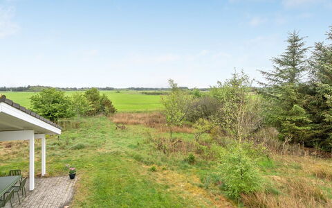 Aameek - 3Km from the Sea: Communauté Des Plantes, Lumière Du Soleil, Plante Herbacée, Jardin, Plantation, Agriculture, Ferme