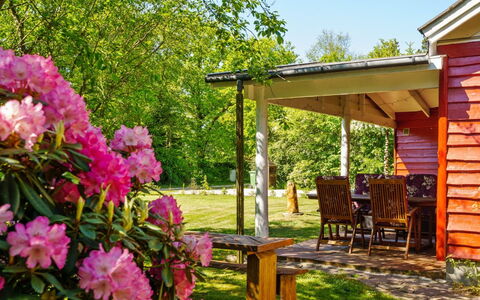 Flugha - 500M to the Fjord: Arbre, Feuille, Jardin, Arbuste, Chalet, Printemps, Pelouse, Couverture De Sol, Ombre