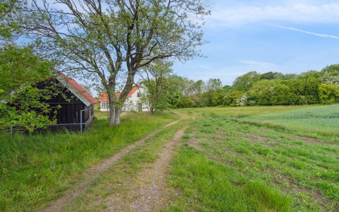Althea - 750M to the Fjord: 