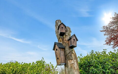Teija - 300M from the Sea: Chalet, Cabanon, Cabane, Ferme, Prairie, Cabane, Grange, Cabane En Rondins, Batiments Jardin