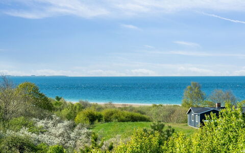 Irek - 500M from the Sea: 