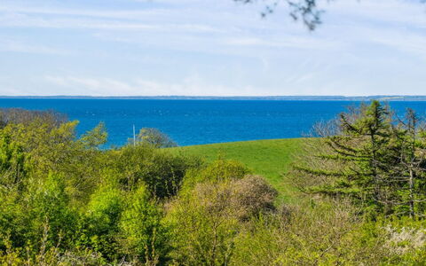 Irek - 500M from the Sea: 