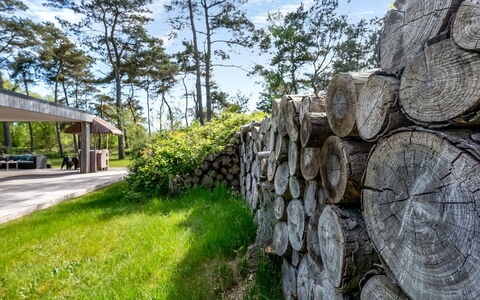 Sylva - 150M from the Sea: Toit, Maison, Domicile, Chalet, Siding, Biens, Allée, Batiments Jardin, Cour, Cabanon