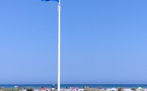 Line - 10M from the Sea: Maison, Toit, Domicile, Chalet, Cabanon, Batiments Jardin, Siding, Cour, Cabane En Rondins, Cabane