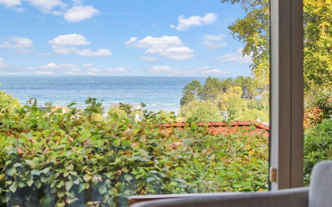 Ludewiga - 350M from the Sea: Communauté Des Plantes, Lumière Du Soleil, Plante Herbacée, Jardin, Plantation, Agriculture, Ferme