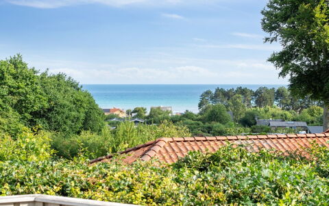 Ludewiga - 350M from the Sea: Ciel, Bleu, Vert, Arbuste, Communauté Des Plantes, Océan, Ombre, Eco Hôtel, Aménagement Paysager, Clôture