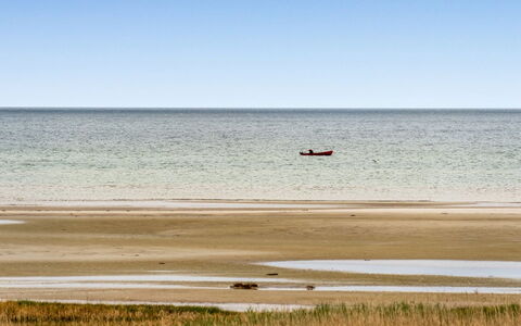 Elpida - 100M from the Sea: Toit, Maison, Domicile, Chalet, Siding, Biens, Allée, Batiments Jardin, Cour, Cabanon
