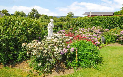 Annabeth - 300M to the Fjord: Fleur, Jardin, Arbuste, Rose, Communauté Des Plantes, Couverture De Sol, Printemps, Plante À Fleurs, Violet