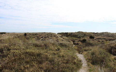 Alexi - 150M from the Sea: Ciel, Herbe, Environnement Naturel, Végétation, Prairie, Écorégion, Horizon, Communauté Des Plantes, Formations Arbustives, Région Sauvage