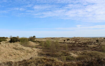 Alexi - 150M from the Sea