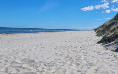 Skaghe - 200M from the Sea