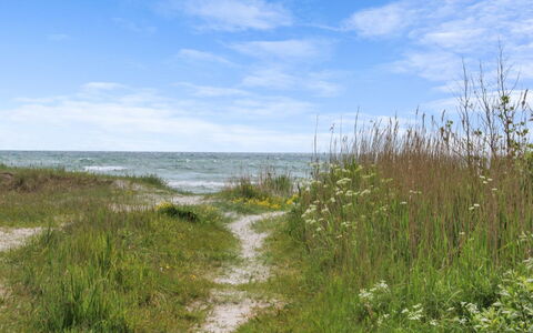 Andria - 300M from the Sea: 