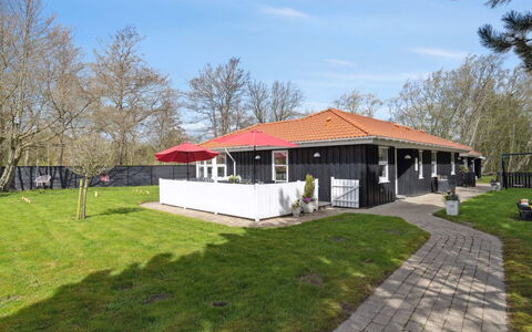 Alla - 500M from the Sea: Communauté Des Plantes, Lumière Du Soleil, Plante Herbacée, Jardin, Plantation, Agriculture, Ferme