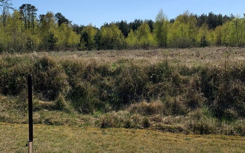 Veiko - 1.2Km from the Sea: Bois, Domicile, Porche, Plate-Forme, Dur, Toit, Tache De Bois, Parquet, Eco Hôtel