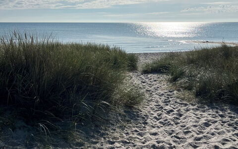 Veiko - 1.2Km from the Sea: Bois, Domicile, Porche, Plate-Forme, Dur, Toit, Tache De Bois, Parquet, Eco Hôtel