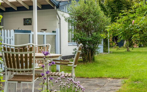Lenard - 400M from the Sea