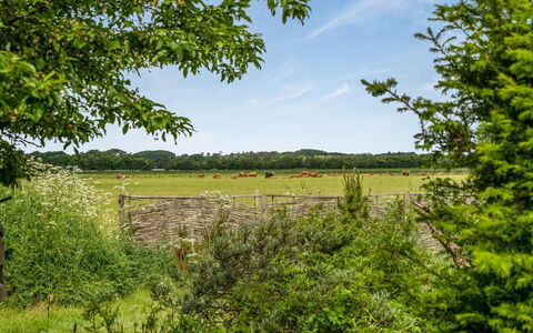 Lenard - 400M from the Sea: Arbre, Vert, Environnement Naturel, Herbe, Prairie, Paysage Naturel, Végétation, Arbuste, Plaine, Été