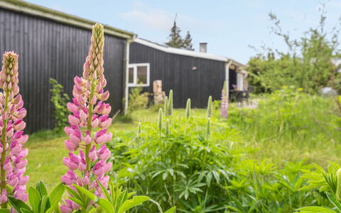 Landolf - 250M from the Sea: Toit, Maison, Domicile, Chalet, Siding, Biens, Allée, Batiments Jardin, Cour, Cabanon