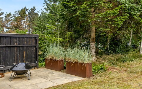 Mea - from the Sea: Bois, Arbuste, Communauté Des Plantes, Jardin, Arrière-Cour, Dur, Aménagement Paysager, Planche, À Feuilles Persistantes