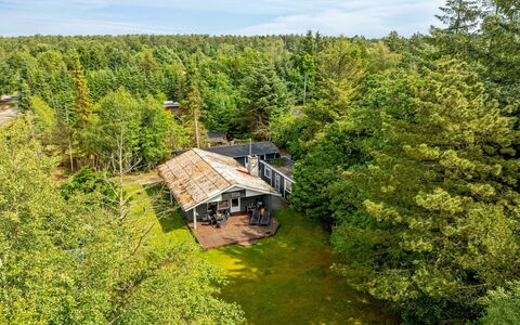 Zölestine - 1Km from the Sea: Arbre, Environnement Naturel, Paysage, Lot Terre, Zone Rurale, Chalet, Forêt, Plantation, Jardin, Aménagement Paysager