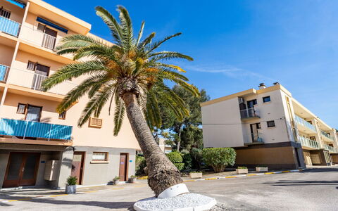 Bormes-Les-Mimosas 360: Ciel, Bâtiment, Propriété, Plante, Fenêtre, Bleu Azur, Design Urbain, Arecales, Arbre, Façade