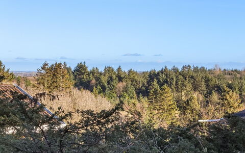 Jaakob - 4Km from the Sea: Ciel, Bleu, Feuille, Environnement Naturel, Végétation, Écorégion, Communauté Des Plantes, Région Sauvage, Forêt, Chaparral
